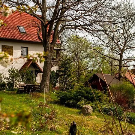 Domek Pod Debami Brodnica Dolna Exterior photo