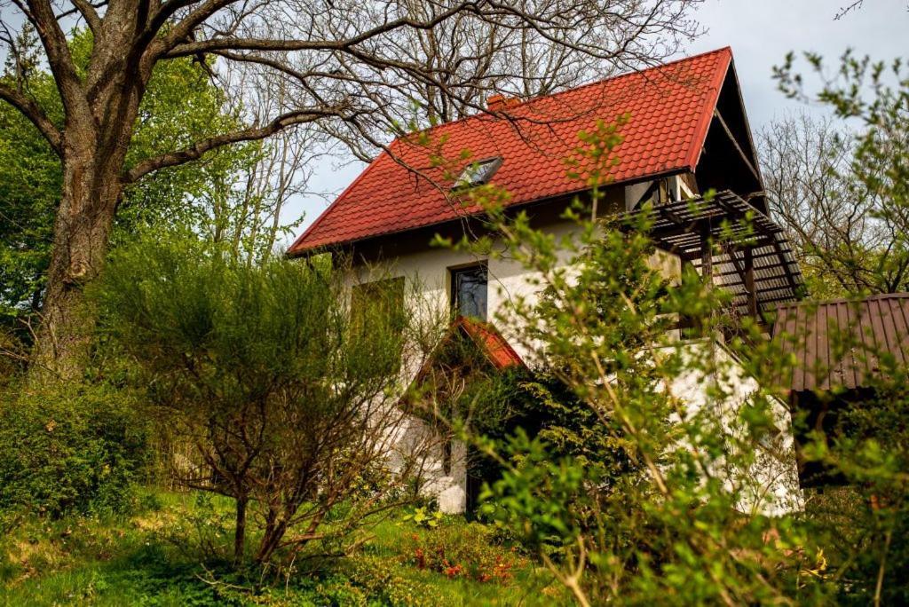 Pod Debami * Brodnica Dolna